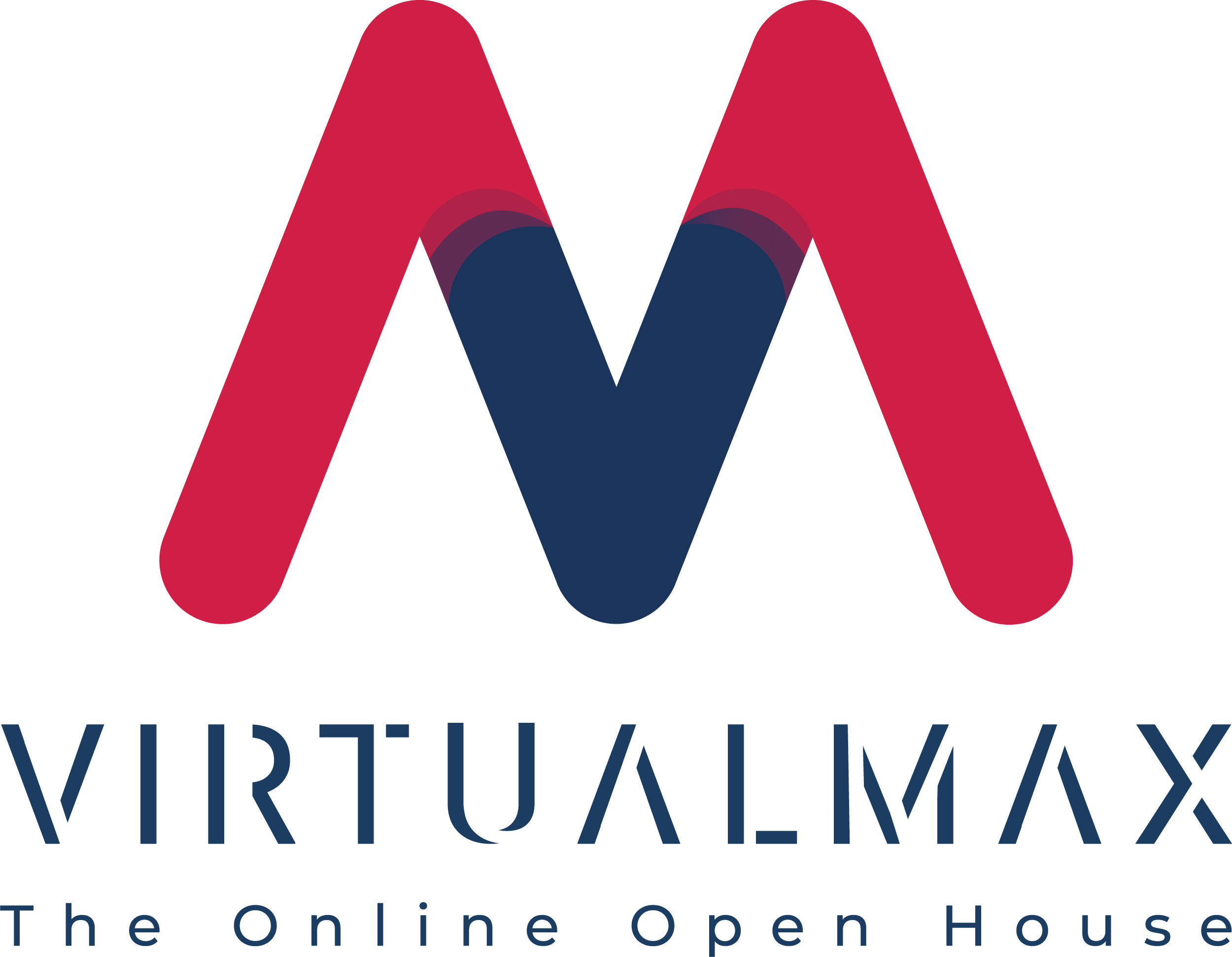 VirtualMax logo