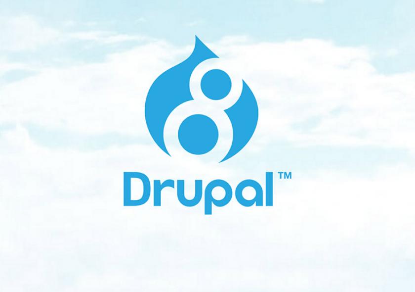 drupal support agency